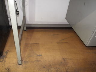 100_0004.JPG