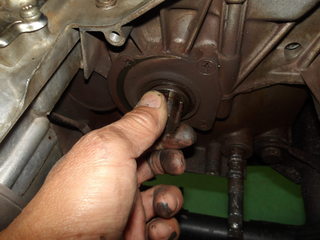 100_0007.JPG