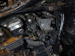 100_0010.JPG
