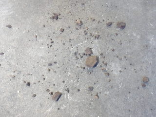 100_0012.JPG