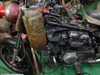 100_0012.JPG