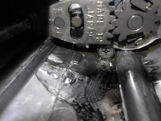 100_0013.JPG