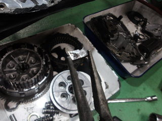 100_0016.JPG