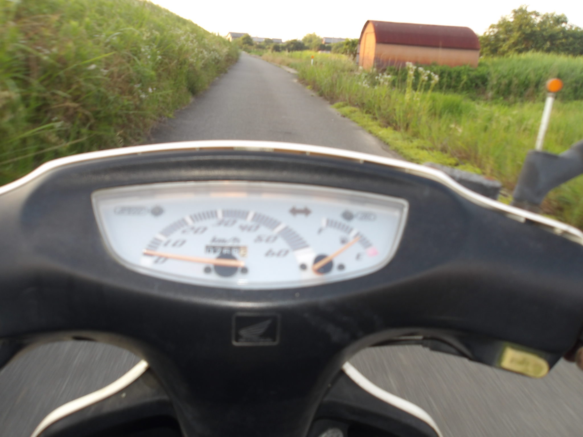 ライブディオZXの整備依頼 1: レストアくんのブログ