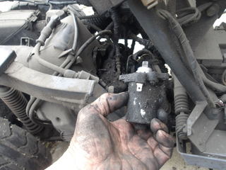 100_0020.JPG