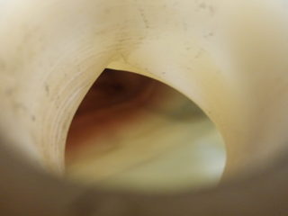 100_0024.JPG