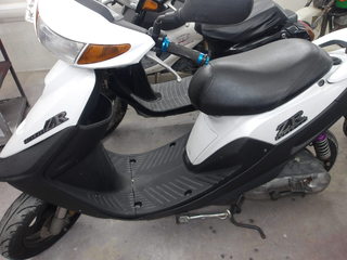 100_0036.JPG