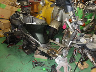 100_0037.JPG