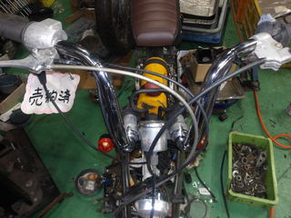 100_0038.JPG