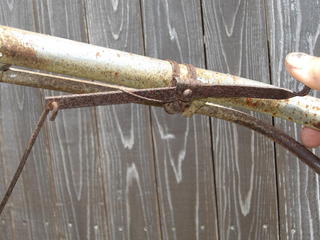 100_0050.JPG