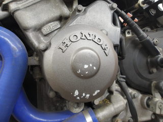 100_0059.JPG
