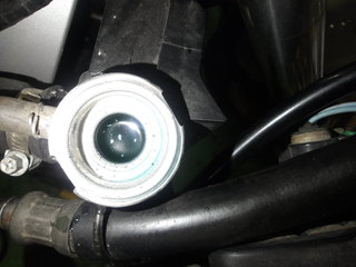 100_0063.JPG