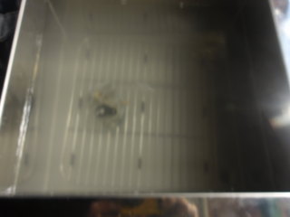 100_0075.JPG