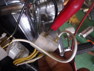 100_0105.JPG