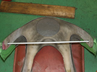 100_0172.JPG