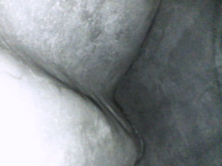 BK560003.JPG