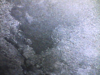BK560027.JPG