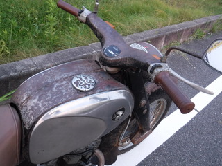 DSCF6252.JPG