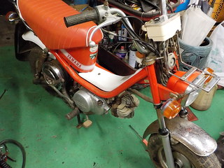 DSCN1002.JPG