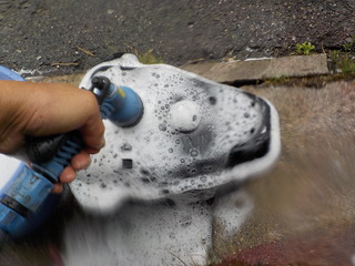 DSCN1023.JPG