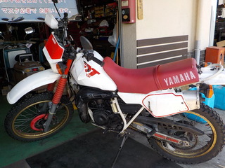 DSCN1145.JPG