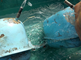 DSCN1491.JPG