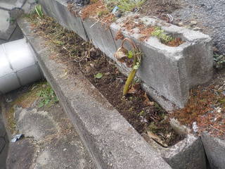 DSCN2666.JPG