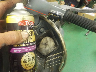 DSCN4229.JPG