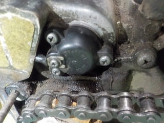 DSCN4854.JPG