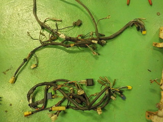 DSCN4914.JPG