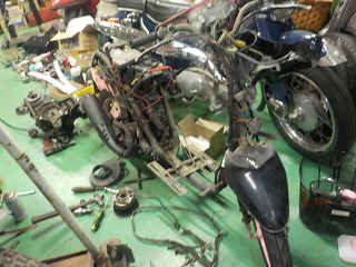 DSCN4919.JPG