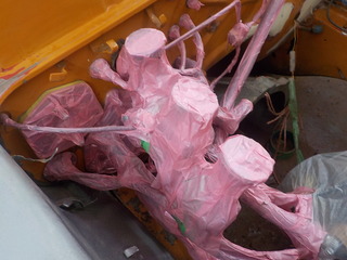 DSCN4991.JPG