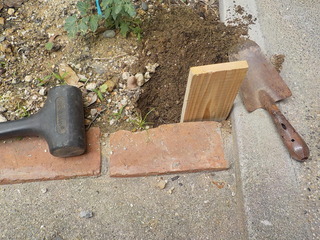 DSCN5107.JPG