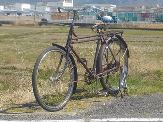 DSCN5280.JPG