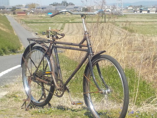 DSCN5283.JPG