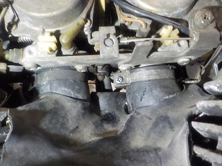 DSCN5349.JPG