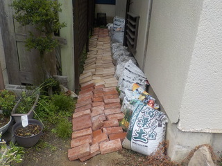 DSCN5450.JPG