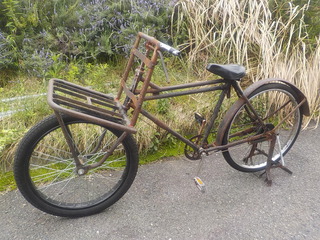 DSCN5904.JPG