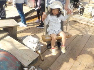 DSCN6561.JPG
