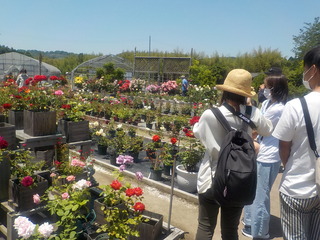 DSCN6607.JPG