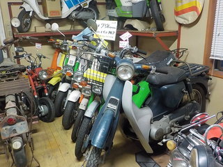 DSCN7373.JPG