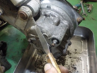 DSCN7591.JPG