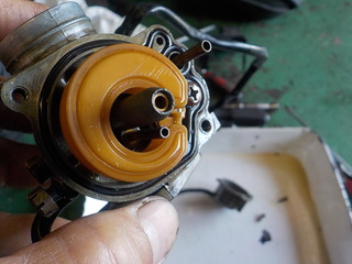 DSCN9067.JPG