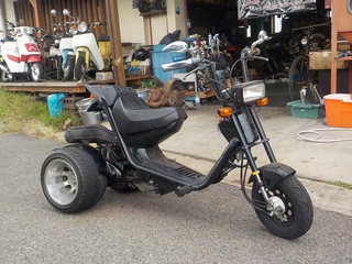 DSCN9088.JPG