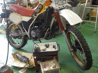 DSCN9100.JPG