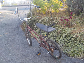 DSCN9956.JPG