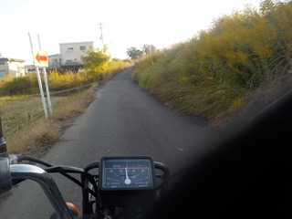 DSCN9980.JPG