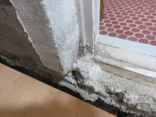 IMG_2790.JPG