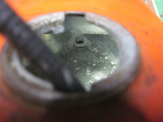 IMG_2872.JPG