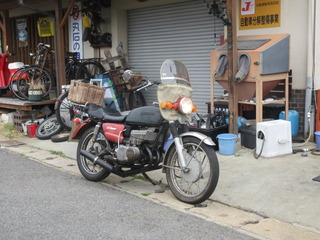 IMG_2998.JPG